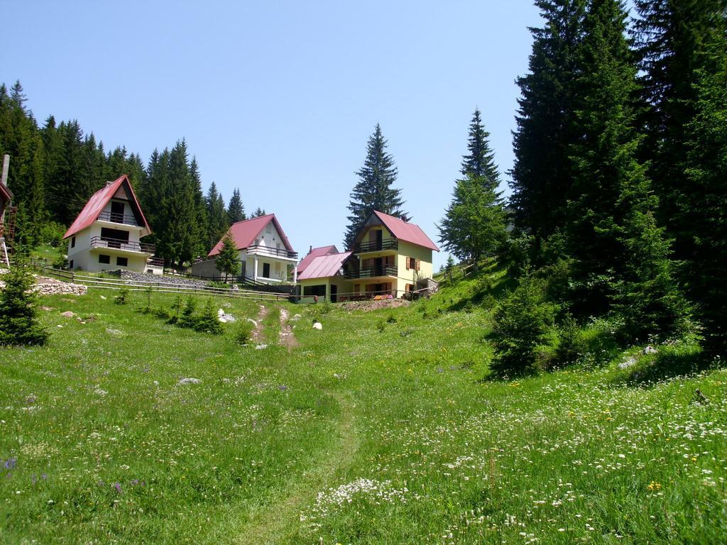 Apartment Vujisic Zabljak  Bilik gambar