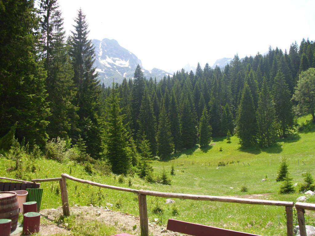 Apartment Vujisic Zabljak  Bilik gambar