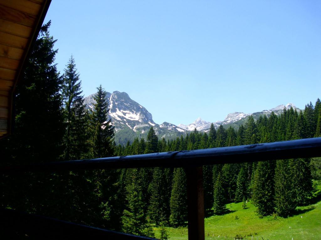 Apartment Vujisic Zabljak  Bilik gambar