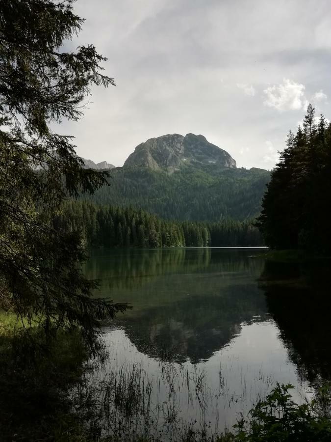 Apartment Vujisic Zabljak  Luaran gambar