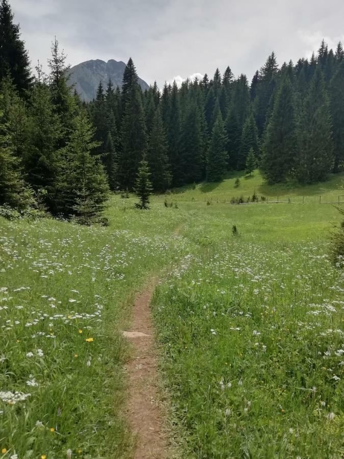 Apartment Vujisic Zabljak  Luaran gambar